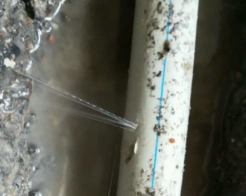 张家港卫生间测漏水多少钱